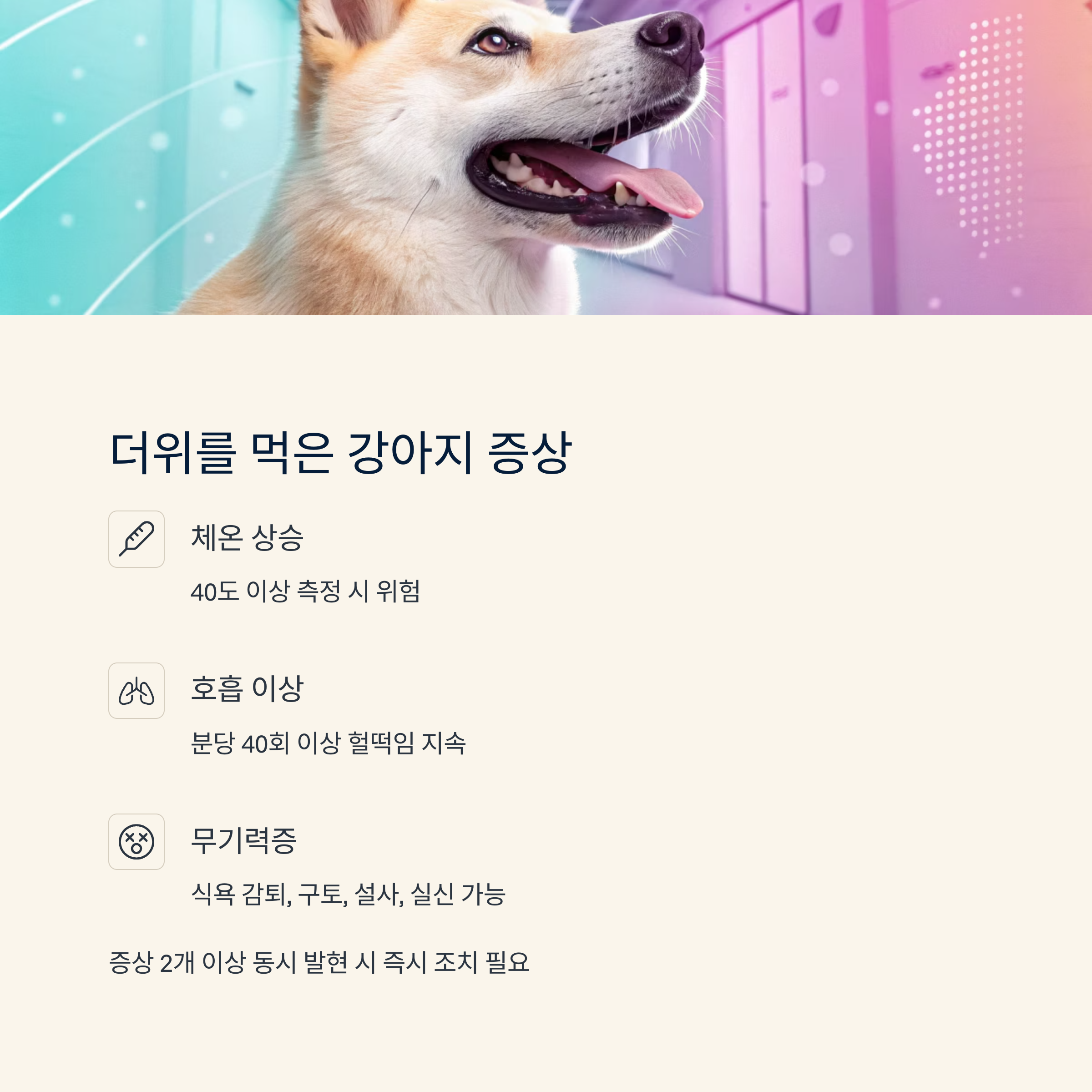 더위를 먹은 강아지 증상