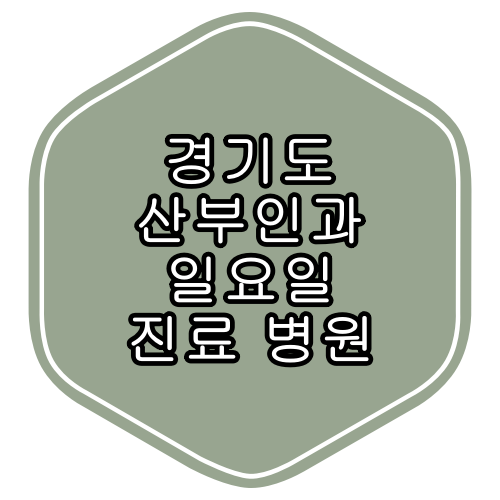 경기도 산부인과 진료