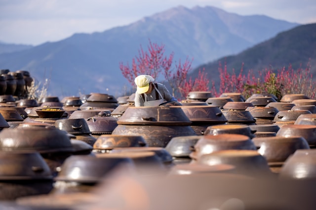 김장용 절임기계 자동형으로 3시간 절임 30분 완성하는 법