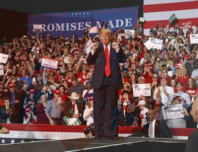 미국 중간선거란 제도 알아보기