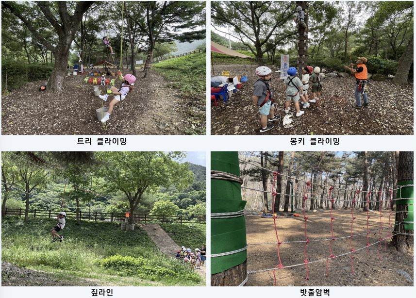 트리 클라이밍 체험 1