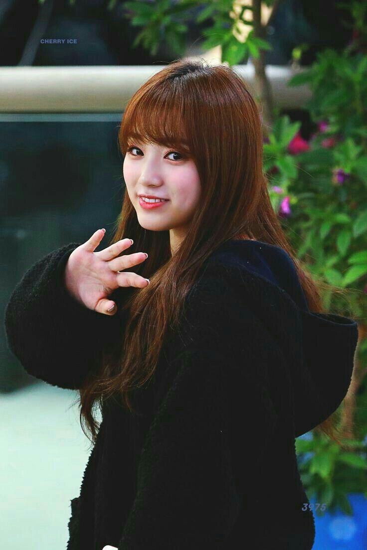 아이즈원 야부키나코 아이즈원 야부키나코