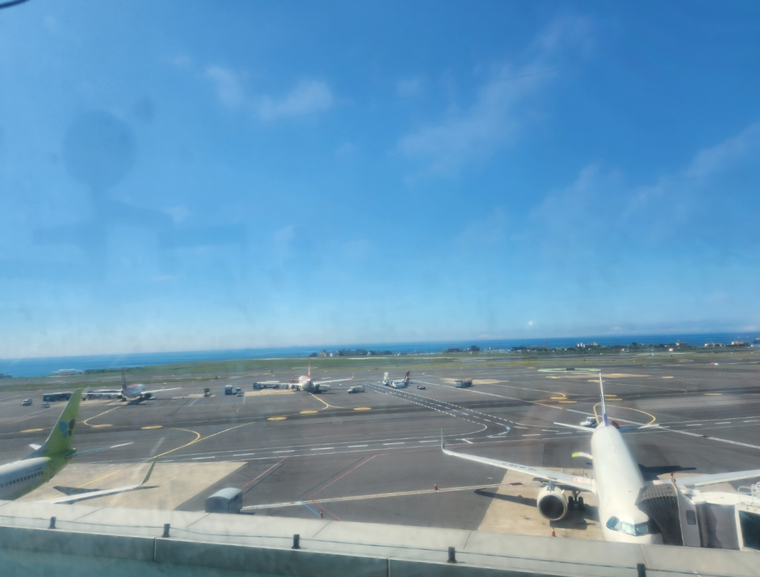 제주공항 4층 맛집 제주향토음식점 후기