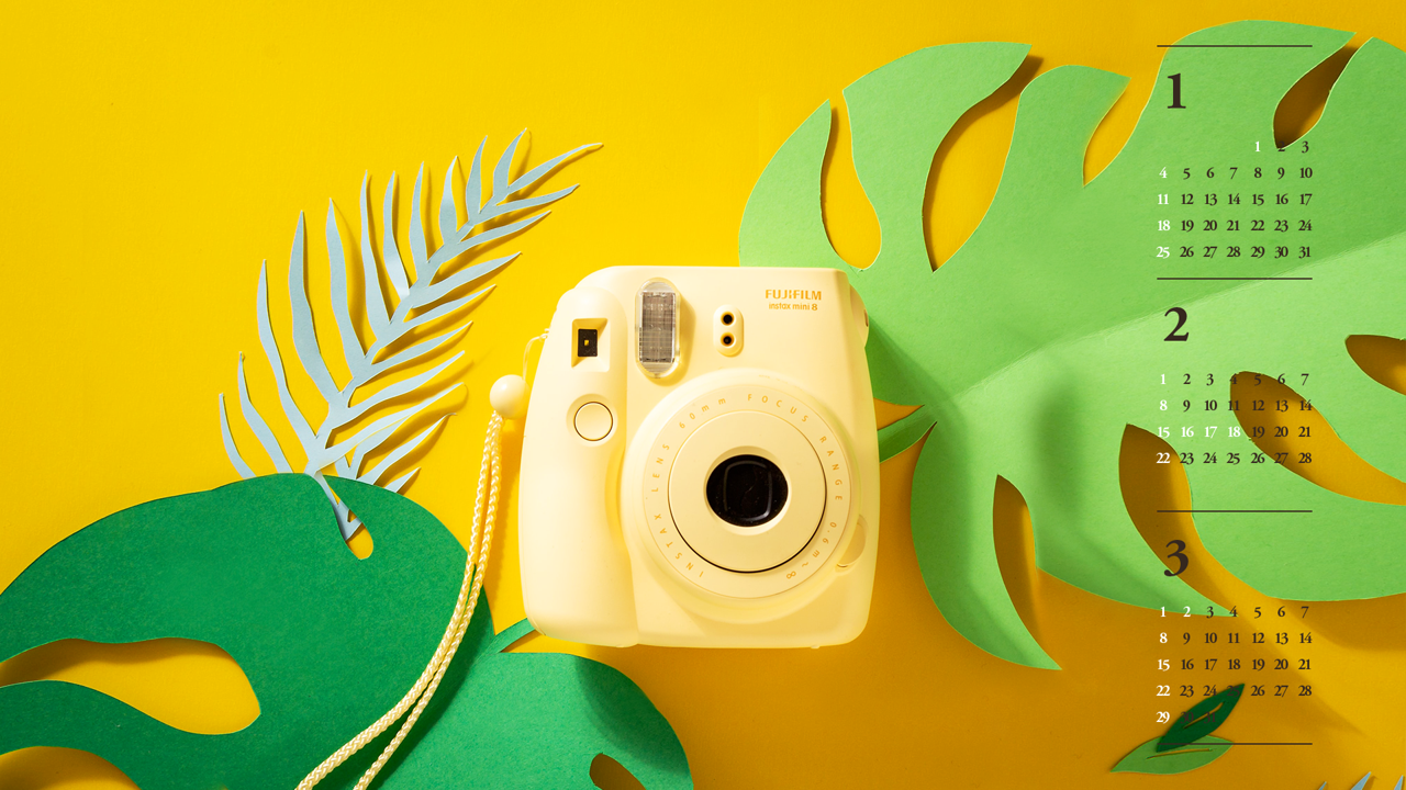 11 즉석 카메라 B - 2026년2월 달력배경화면