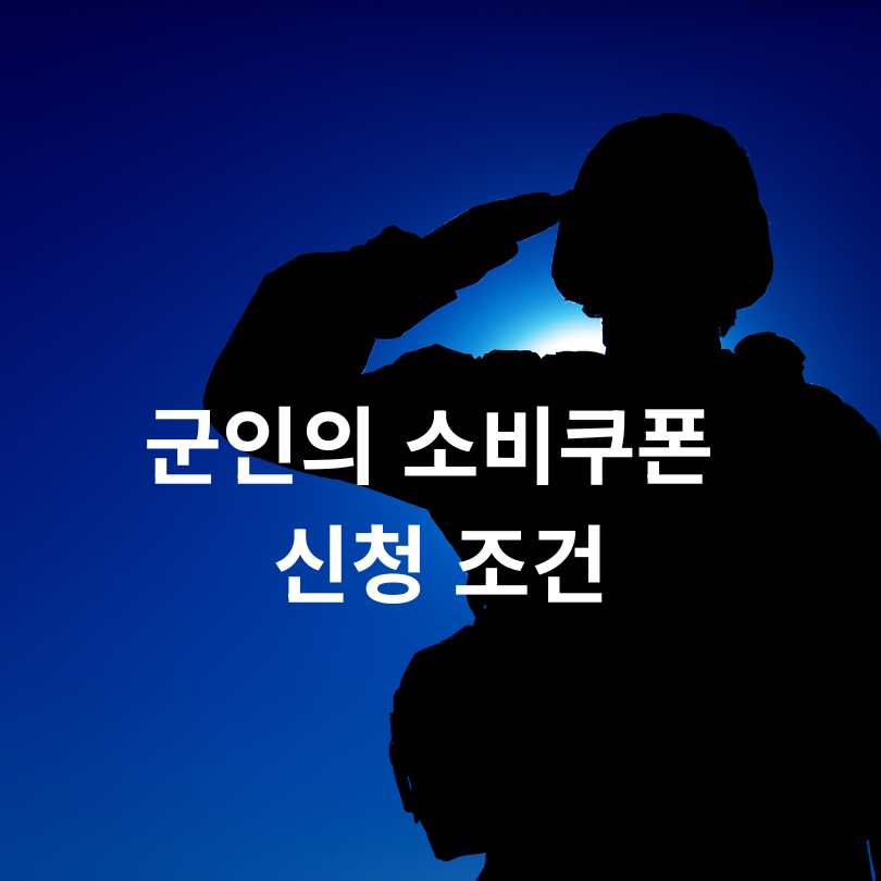 민생회복 소비쿠폰을 PX에서 가능할까?