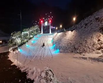 고니골 빛축제_7