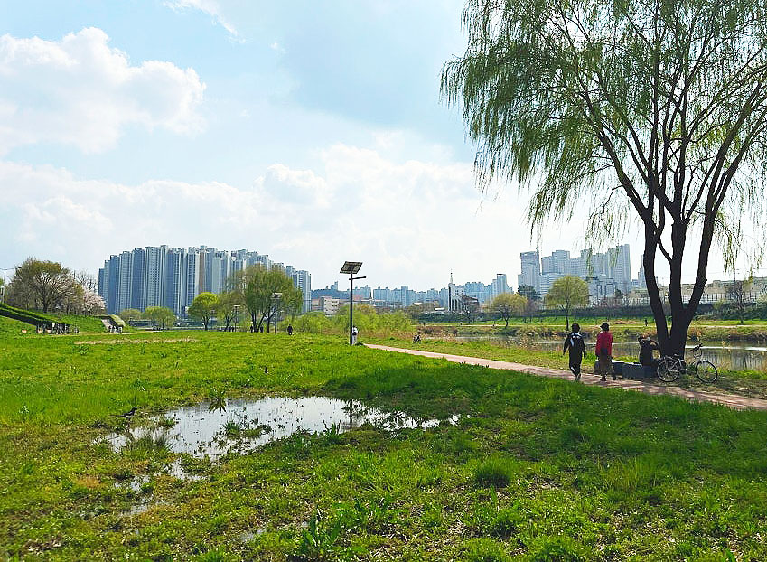 대전광역시 버드내태평파크골프장 소개