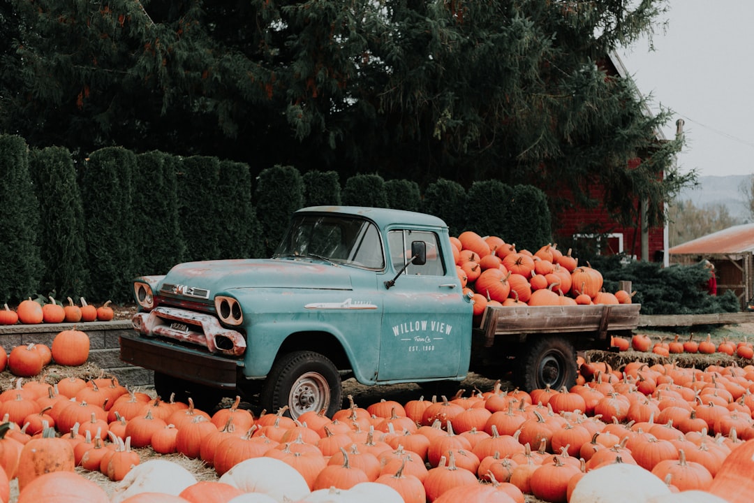 Pumpkin