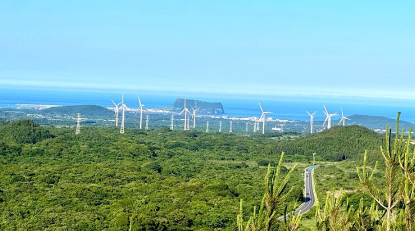 제주 백약이 오름