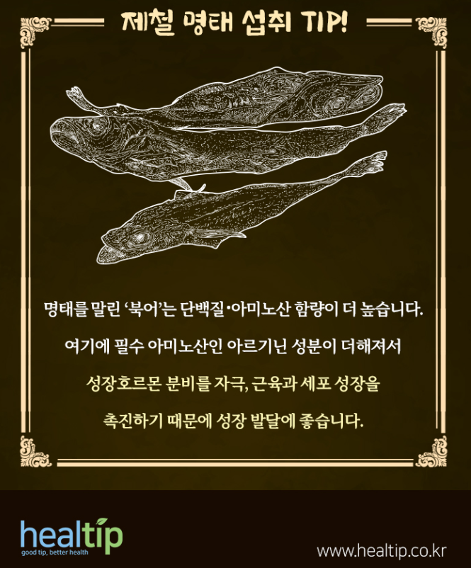명태의 효능