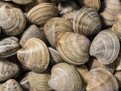 두드러기 원인 3