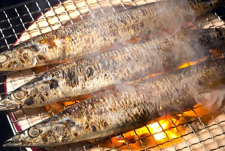 꽁치 (이와테・와카야마)