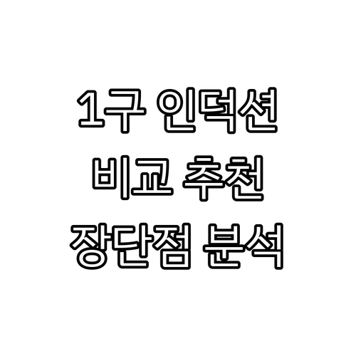 가정용 1구 인덕션 비교 추천 독일기..