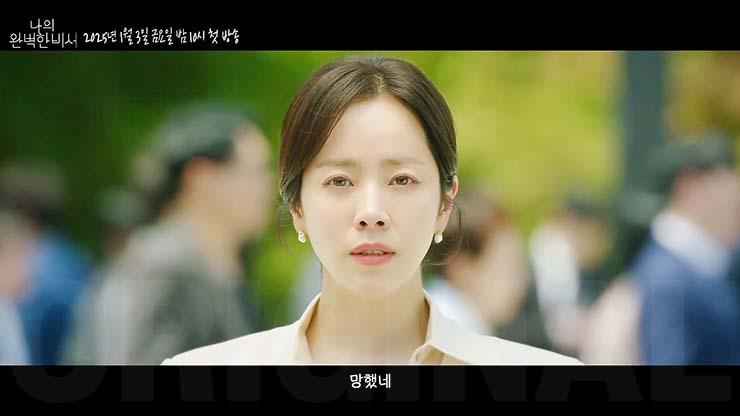 나의 완벽한 비서 줄거리 &amp; 등장인물