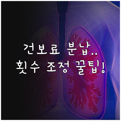 건강보험료 분할납부 신청 대상과 횟수..