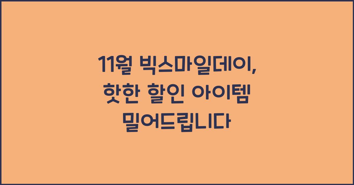 11월 빅스마일데이