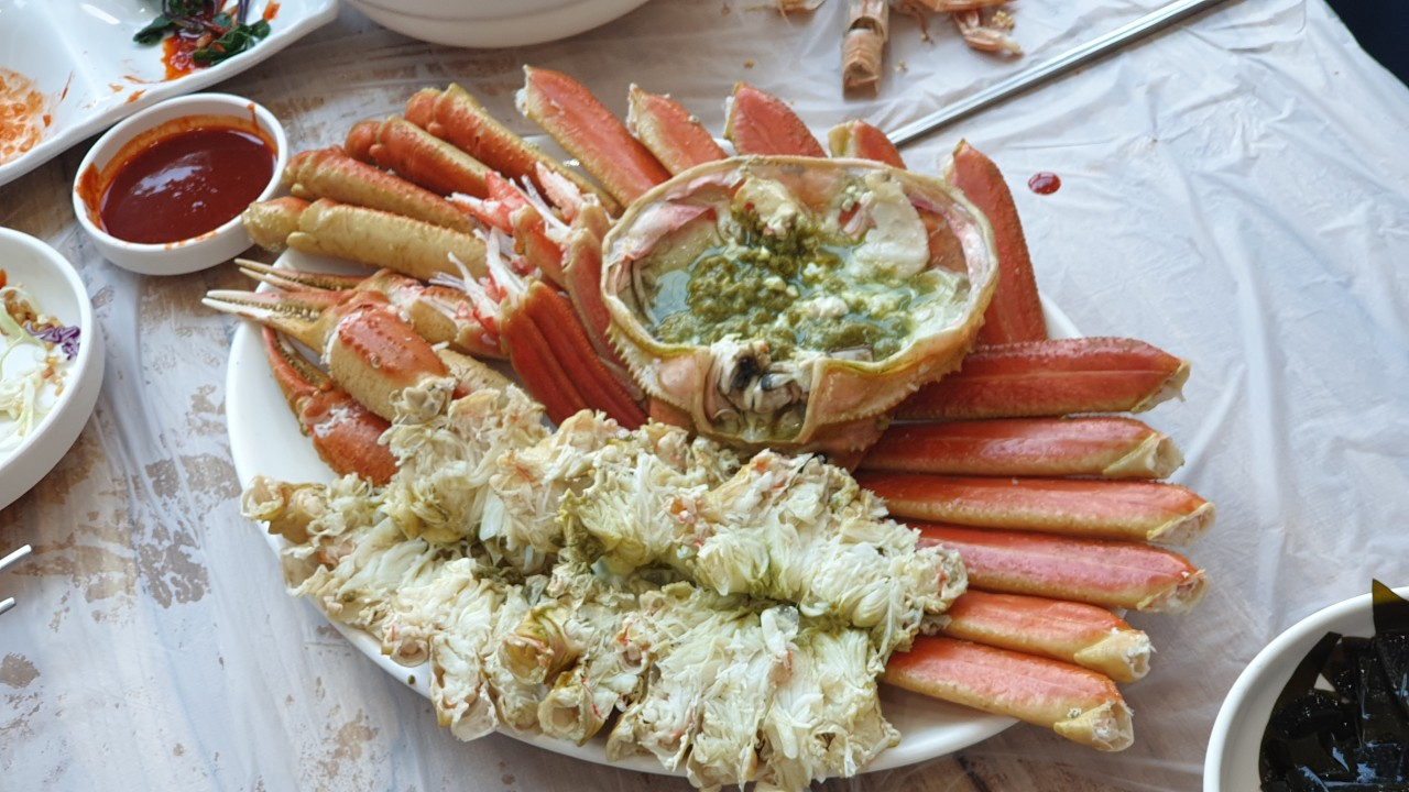 포항 구룡포 맛집 창우물회대게