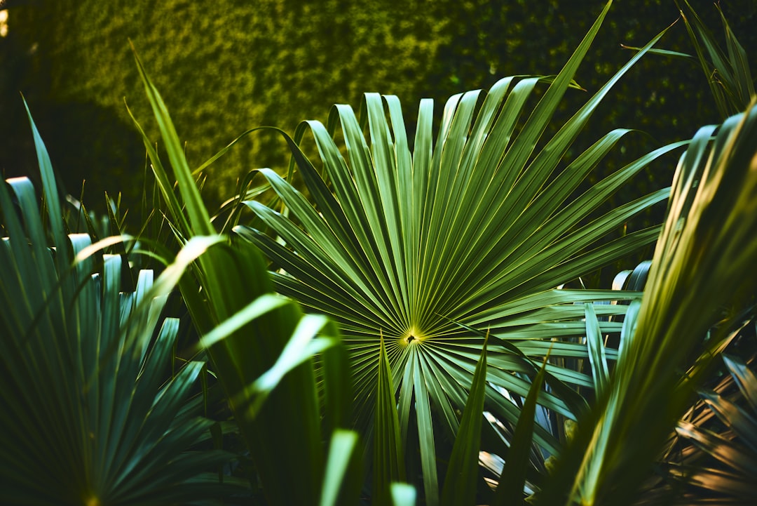 Humidity