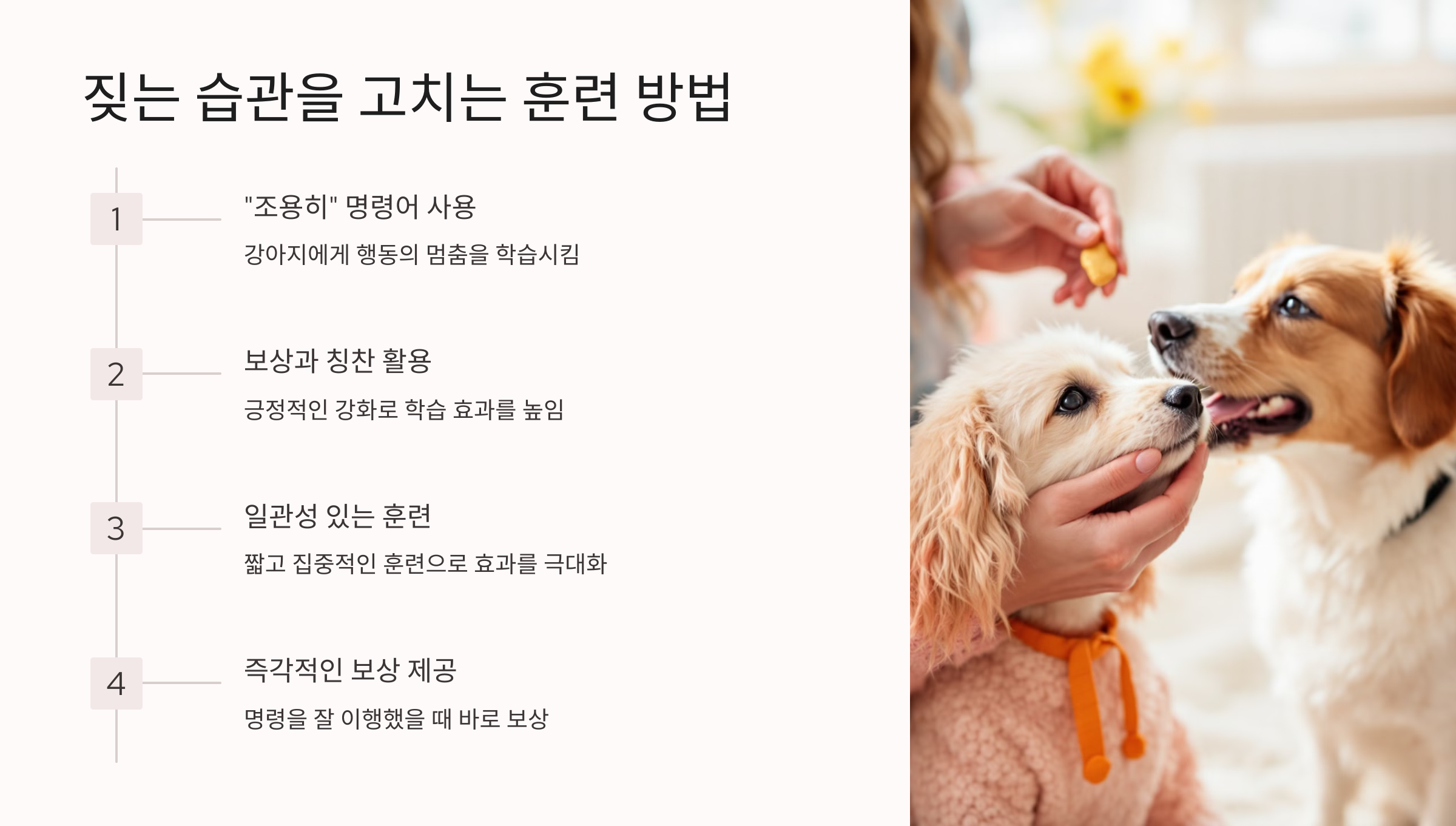짖는 습관을 고치는 훈련 방법