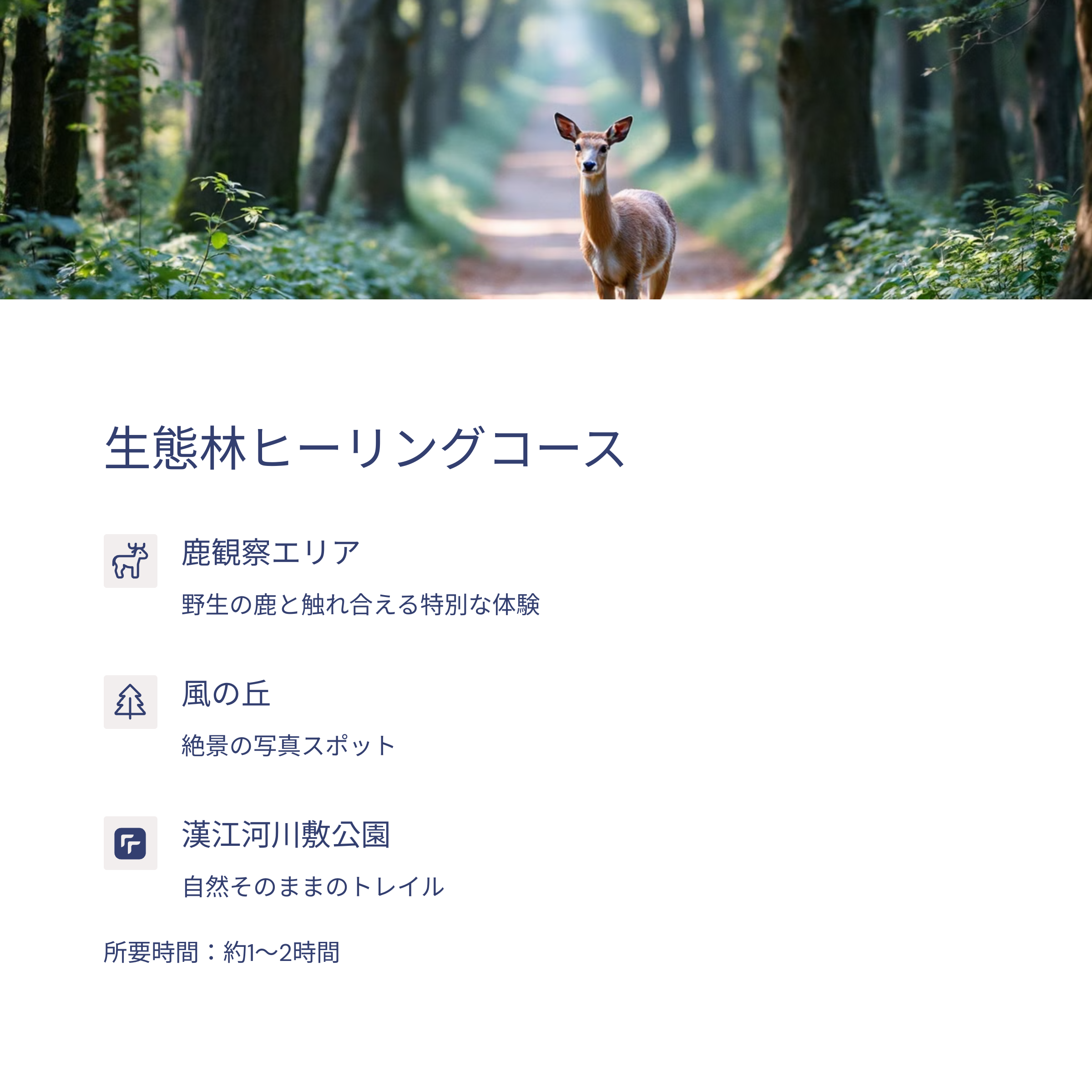 ソウルのオアシス!ソウルの森完全ガイド:おすすめルートと観光のコツ