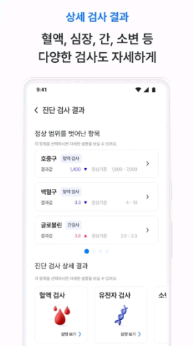 온톨