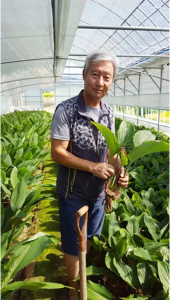 흑생강 효능 슈퍼푸드 칼로리 권장량_7