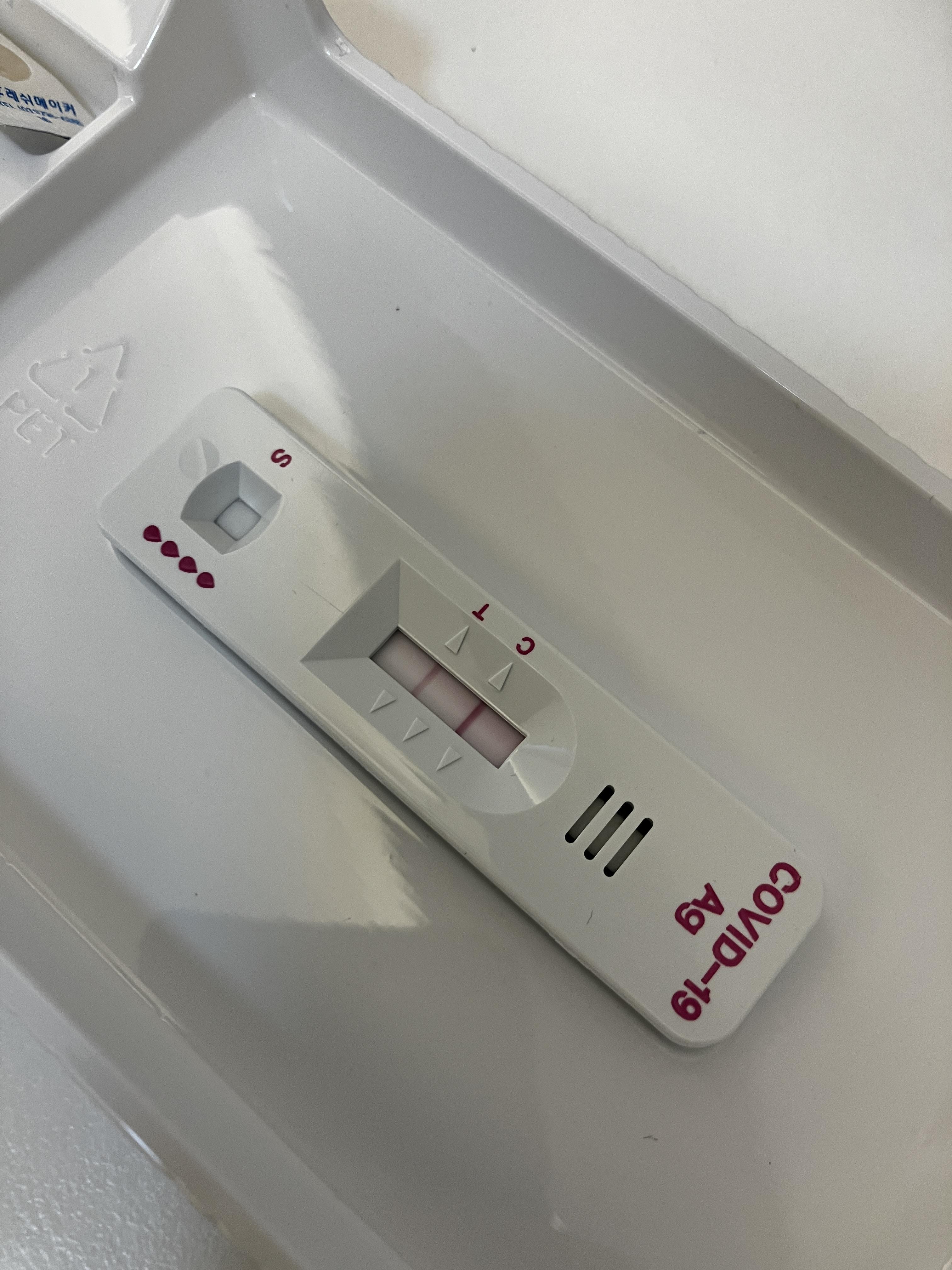 코로나 자가 진단키트 두줄 양성