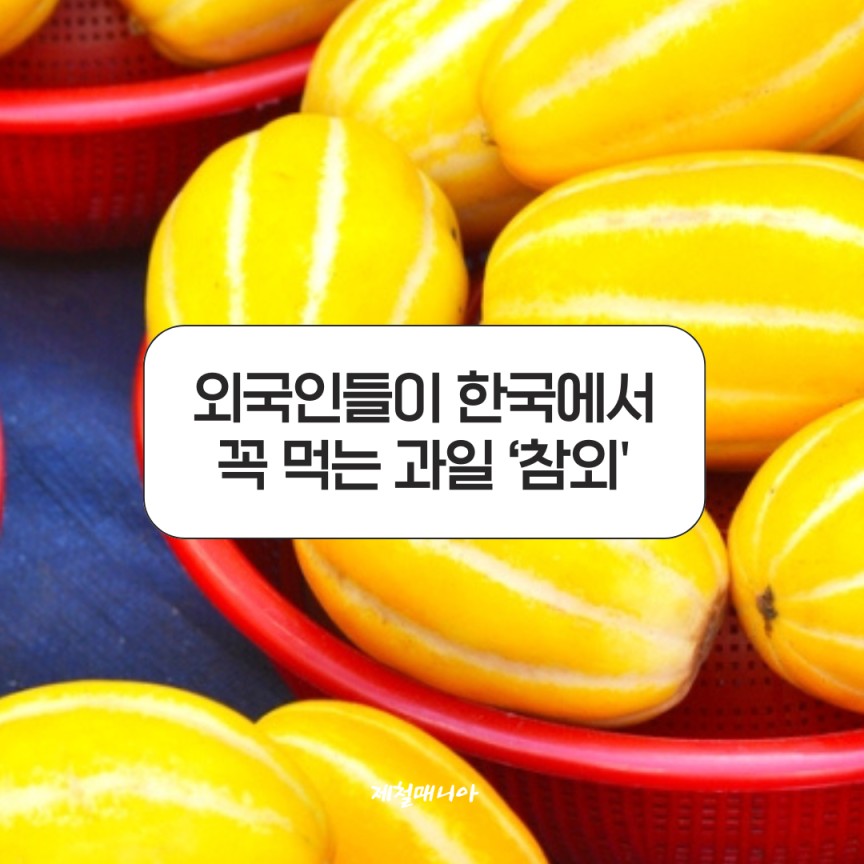 참외샐러드