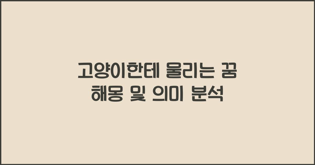 고양이한테 물리는 꿈