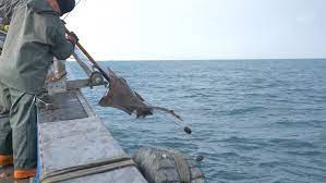 10회 흑산도 홍어 축제 기본일정과 특징 소개