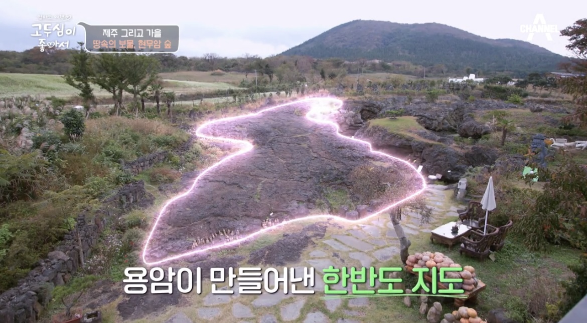 고두심이좋아서제주현무암숲한반도지도