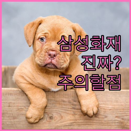 반려견 보험 삼성화재 장점과 주의사항..