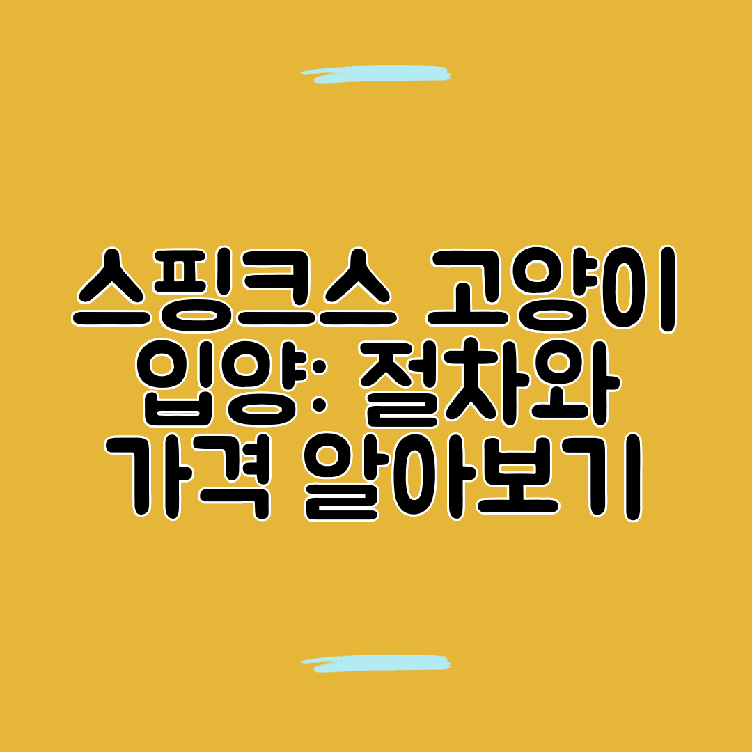 스핑크스 고양이 입양 절차와 가격 알아보기