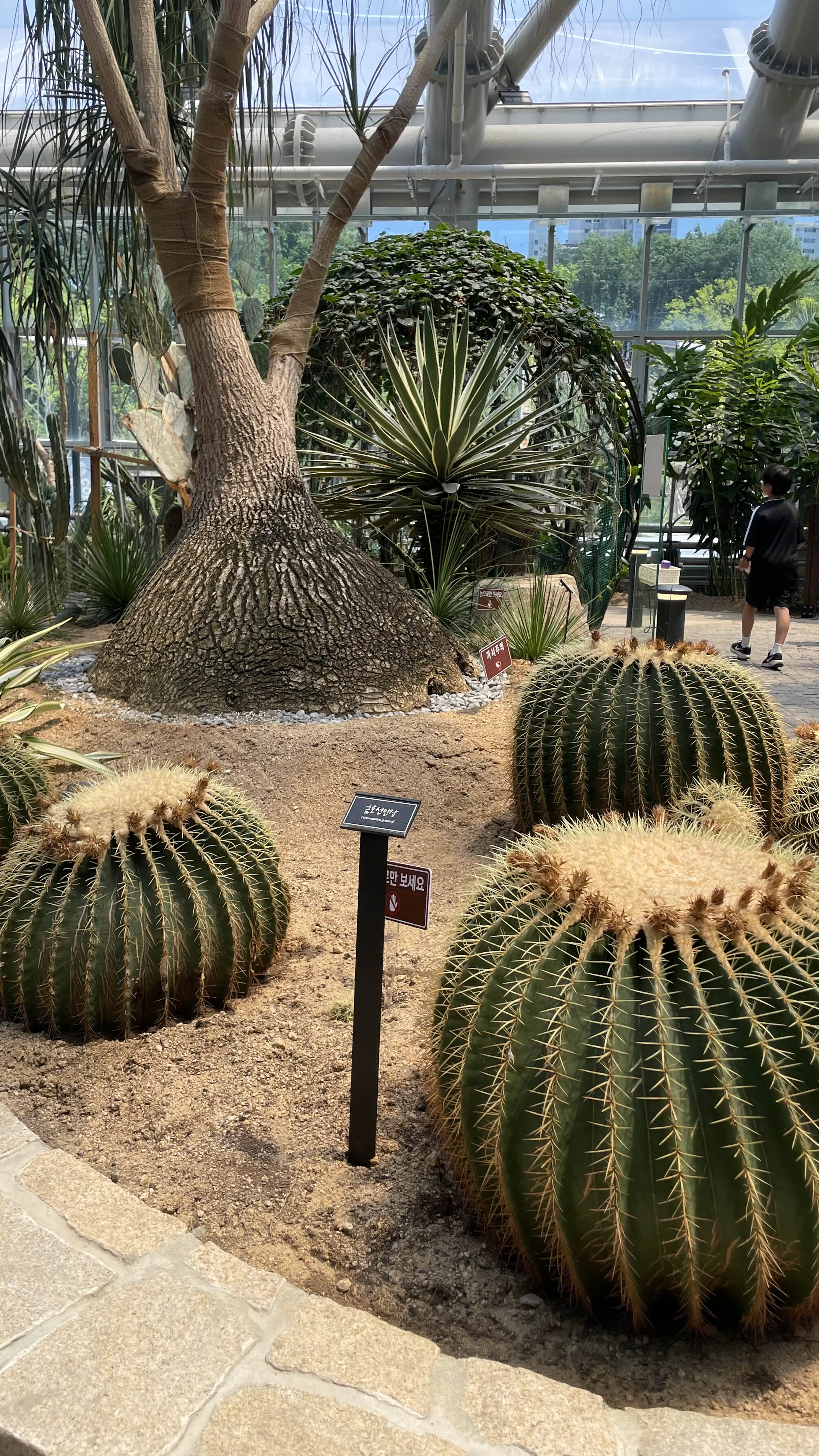 환호공원 식물원