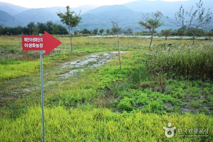 양구 가볼만한곳 베스트 10