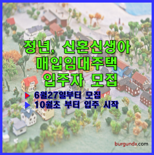 청년 신혼 신생아 매입임대주택 입주자 모집