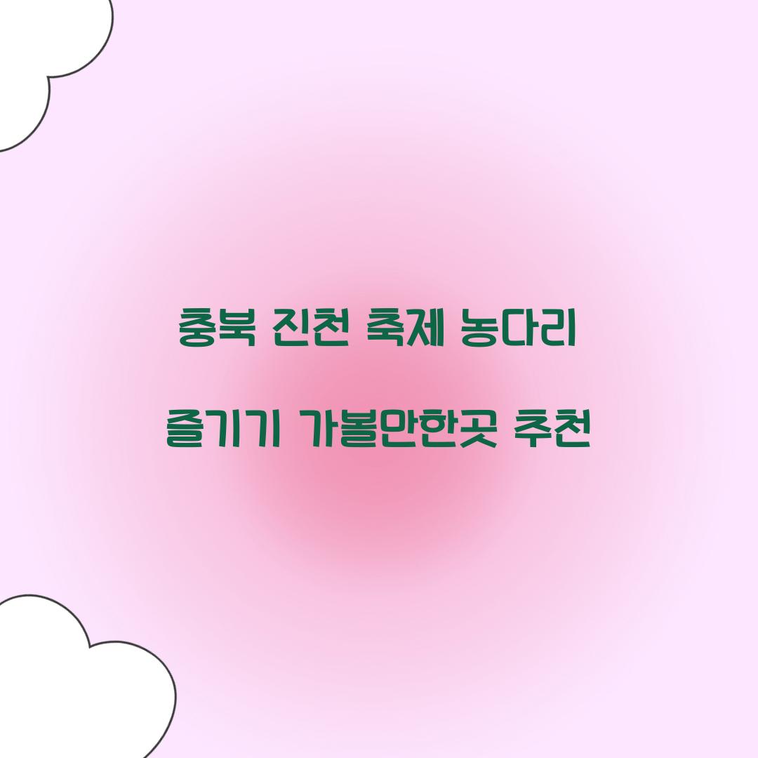 진천 축제 농다리