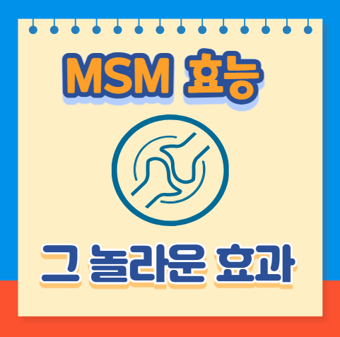 MSM 효능