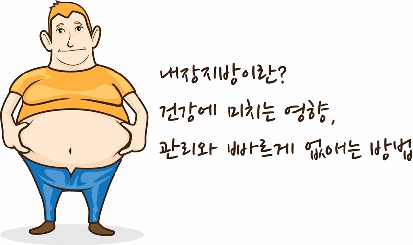 내장지방이란, 건강에 미치는 영향, 관리, 빠르게 없애는 방법