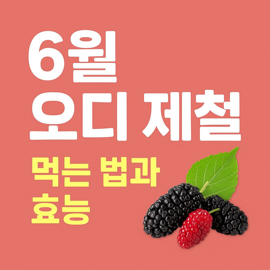 오디 사진
