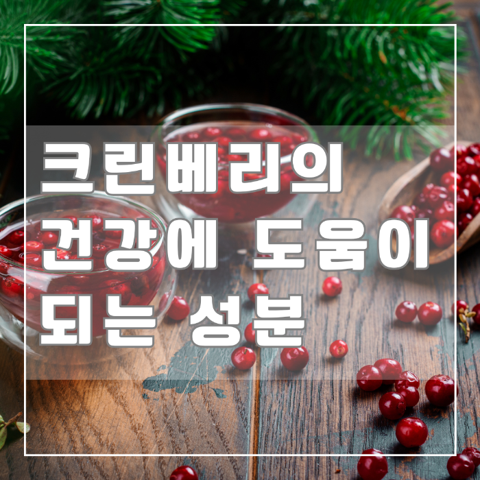 크린베리의 건강에 도움이 되는 성분