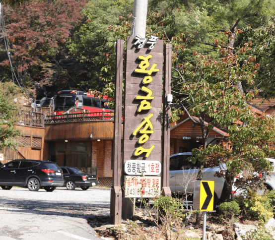 제천 맛집 BEST 20