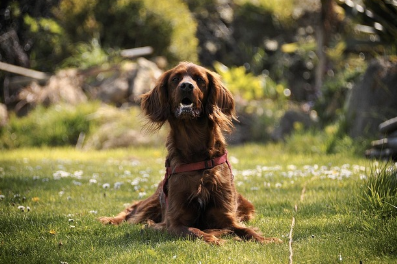 상식의 반전1:생리학, 동물생태, 환경과학으로 살펴본 방귀의 진실