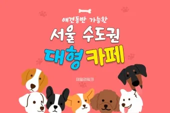 수도권 애견동반 여행지 5선 완벽 가이드 반려견 동반 산책 주말 여행지 추천_21