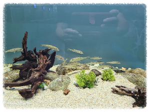 충북아쿠아리움