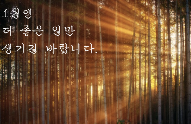 1월 인사말 모음집 카톡&middot;문자&middot;메일용 짧은 인사말 정리