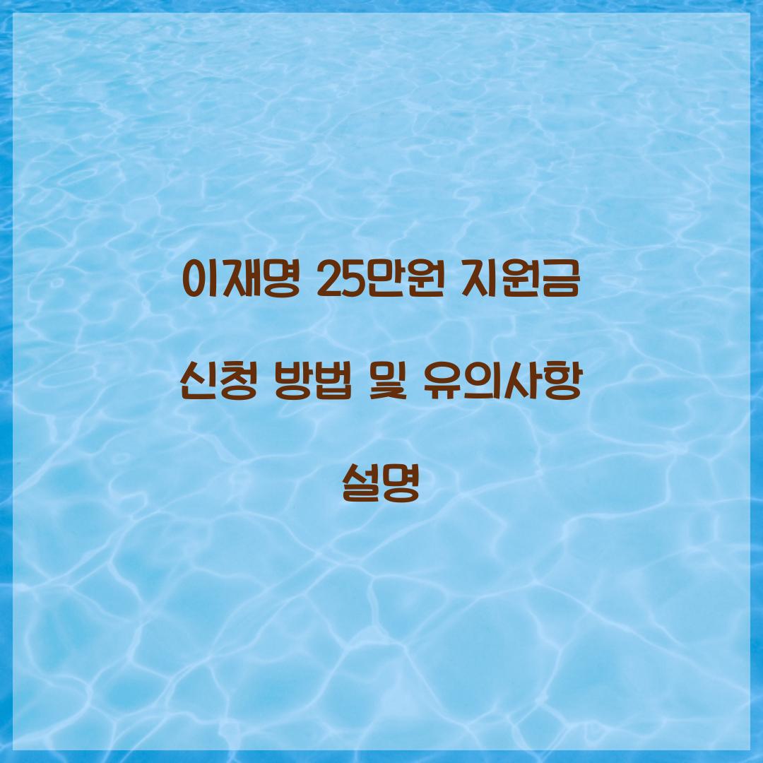 이재명 25만원 지원금