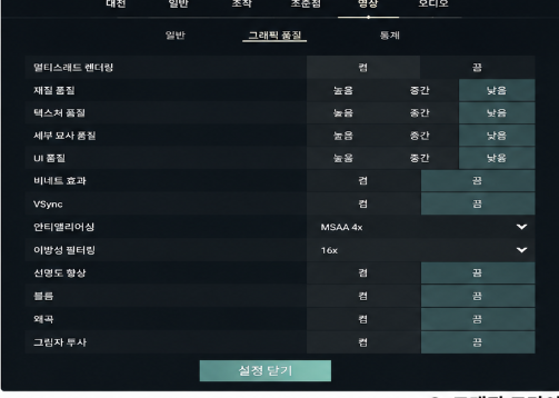 <발로란트 그래픽 설정>