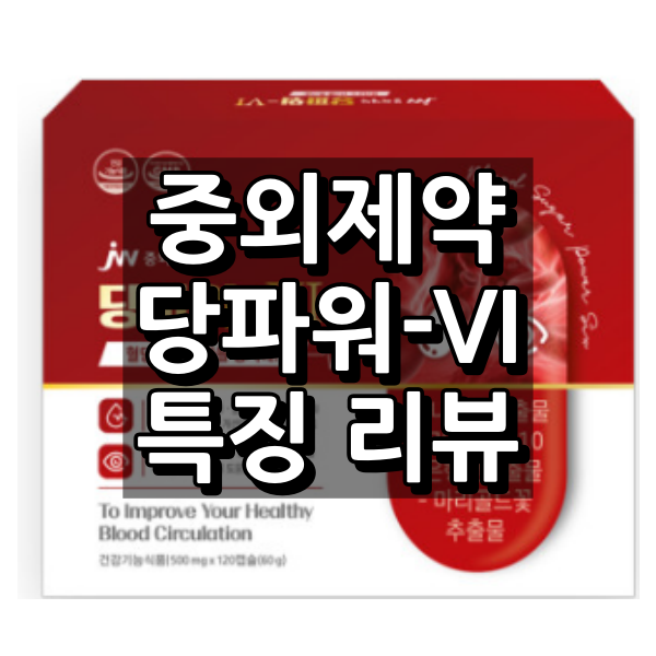 중외제약 당파워-VI(6)