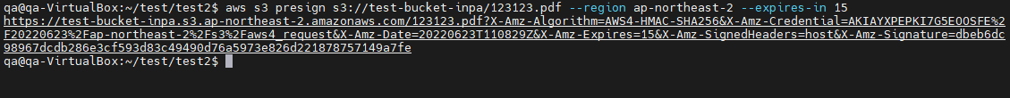 s3-presigned-url